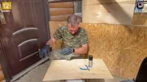 Маникюр фазанам. Содержание и разведение фазанов.