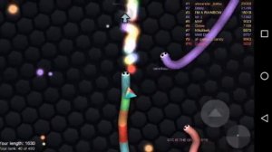 Slither.io- Meire Borba Gato!