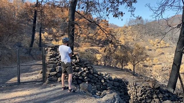 Снимаем на плёнку в Турции. Fujica BL690, Nikon TW2D, Зоркий-6. смотреть онлайн