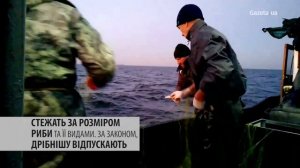 Як ловлять рибу на найбільшому водосховищі України