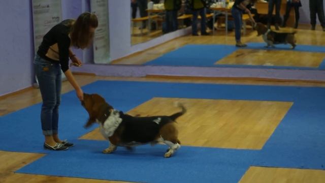 Аня и Гном блины едят)) смотреть онлайн