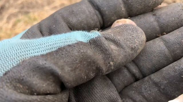 Рокамболь из детки не взошел смотреть онлайн