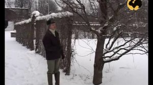 Зимний сад Ландшафтные хитрости 1