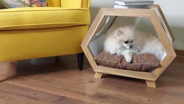 Домик для собаки. #домикдлясобаки смотреть онлайн