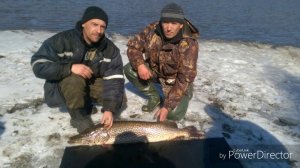 Мича 2015.Часть 2.