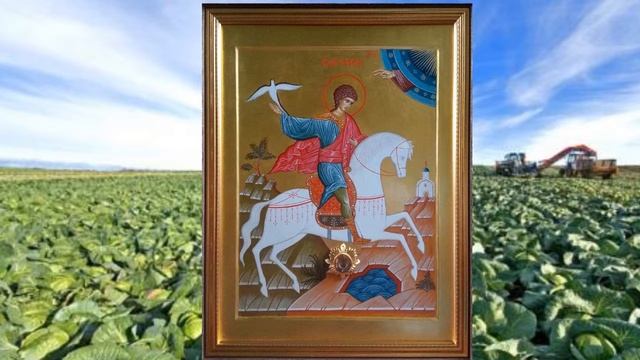 Об избавлении от гусениц вредящих полям, садам и огородам смотреть онлайн