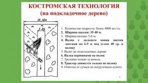 Лесоводство 6.2