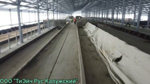 Строительство животноводческого комплекса в с. Ефимцево.