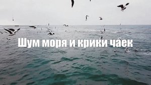 Звук природы. Шум моря и крики чаек