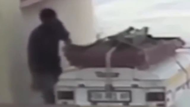 10 ДОМАШНИХ питомцев, Что СПАСЛИ Жизнь ХОЗЯИНУ смотреть онлайн