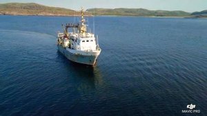 "Профессор Бойко"