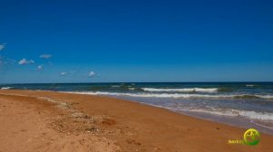 КУЧУГУРЫ 2020 БЕСПЛАТНЫЙ АВТО КЕМПИНГ ЖИЗНЬ ДИКАРЯМИ