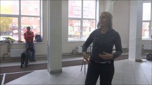 Овчарка Грей. Метис Дарц. Ризеншнауцер Ургут. Откуда берутся собаки. Тольятти, 22 октября 2017.