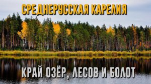 СРЕДНЕРУССКАЯ КАРЕЛИЯ | Край озёр, лесов и болот [4K 60 fps]