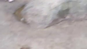 Суворово, Камни Серафима Саровского, Дивеево, всё в одном видео