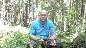 Шекспир. Сонет № 13