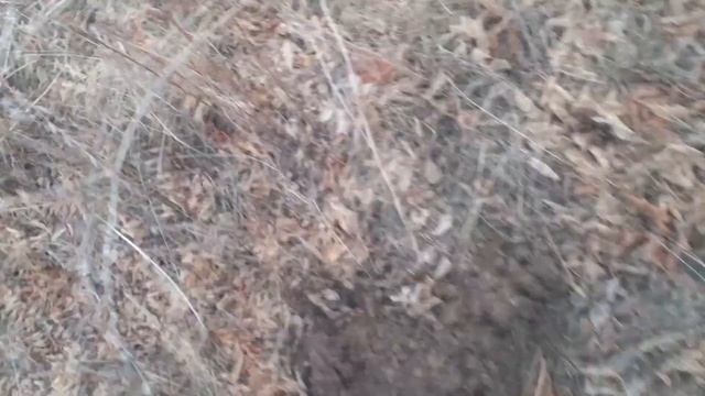 КОП В КАЗАХСТАНЕ В РЕЖИМЕ ЧП ВОЗЛЕ ГОРОДА смотреть онлайн