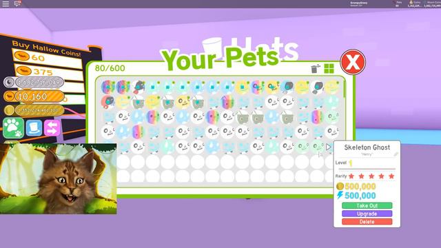 Rarest Halloween Pet In Roblox Pet Simulator