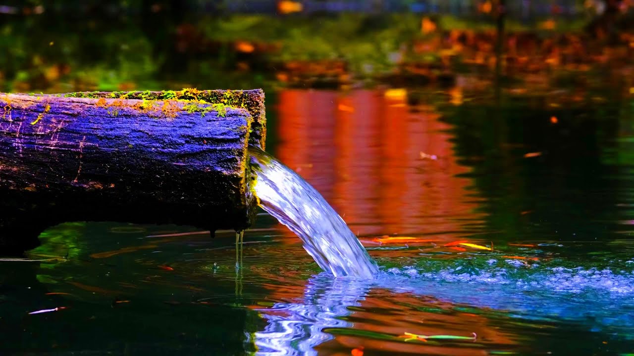Звуки воды - Звук родника в лесу и пение птиц. Журчание воды пение птиц. Чистый горный родник. смотреть онлайн