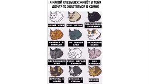 МЕМЫ ЭТО ЖИЗНЬ. Лучшие мемы