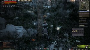 BlackDesert Online