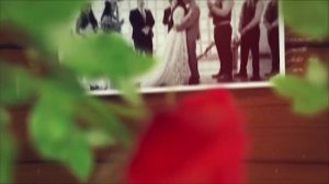 Свадебное слайд-шоу зеленые листья красные розы Wedding Love Story Slideshow Green Rose Videohive