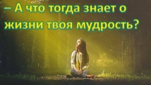 Вкус жизни (притча). Мудрая короткая притча о счастье и смысле жизни