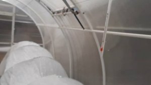 Цветут томаты в теплице. Чем подкормить? Опрыскивание по листу.