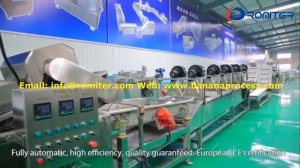 Полностью автоматическая линия для производства банановых чипсов