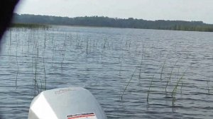 Honda bf5 проверка