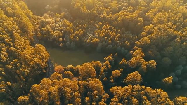 Расслабляющая музыка с пением птиц ─ красивая фортепианная музыка, гитара музыка успокаивающая рела