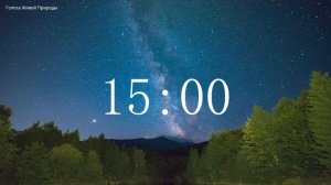 Обратный отсчет Таймер 30 минут. Звуки живой природы / Countdown. Timer 30 min. #ГолосаЖивойПрироды