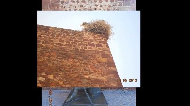 рыцари и замки средневековья