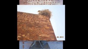 рыцари и замки средневековья