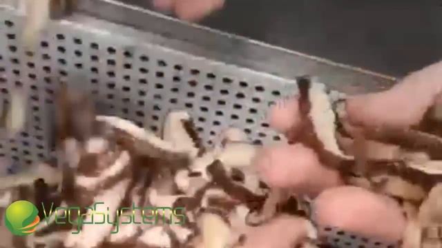 Нарезка грибов и сырого мяса Vega Meat Slicer H500