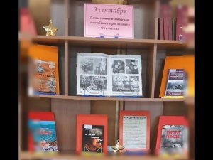 День памяти амурчан, погибших при защите Отечества (1945 год)