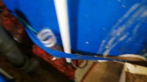 Африканский клариевый сом. Вода без циркуляции .Узв без барабанного фильтра