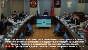 Мы – против эвтаназии и любого другого способа умерщвления бездомных животных