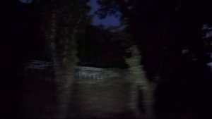 КРЫМ. Приезд в Щелкино