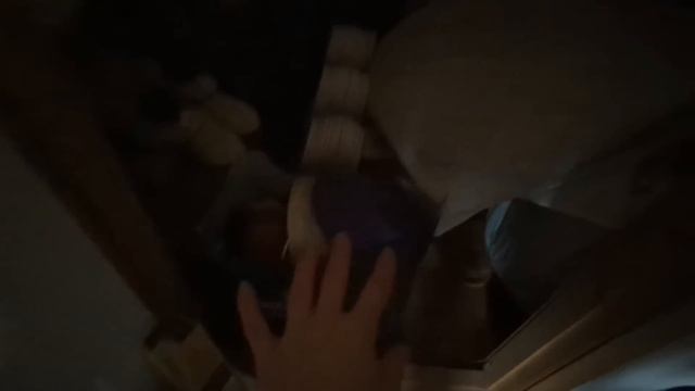 # 320. Приехали на участок и сделали перестановку в домике. Обзор участка. Загородная жизнь с нуля