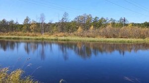 РЫБАЛКА НА РАКОЛОВКУ, НАЖИВКА КРИЛЬ 96РЫБ ЗА 30МИНУТ