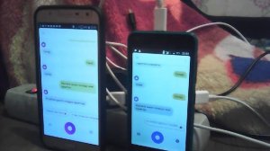 2 Алисы разговаривают с друг с другом