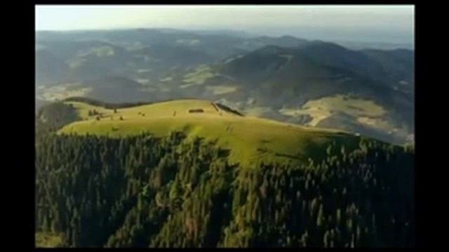 Шварцвальд  Красивый сказочный лес