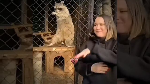 СМОТРИ И СМЕЙСЯ смотреть онлайн