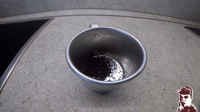 РЕЖИМ ПРОГУЛОК ЧИФИР ДОМАШНИЙ ДАЧНИК (какой дом гуляет?) 2020 смотреть онлайн