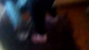 Тарелка лопнула