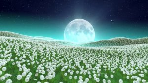 Розовый шум улучшает память и концентрацию, расслабляет и снимает тревогу. поле одуванчиков