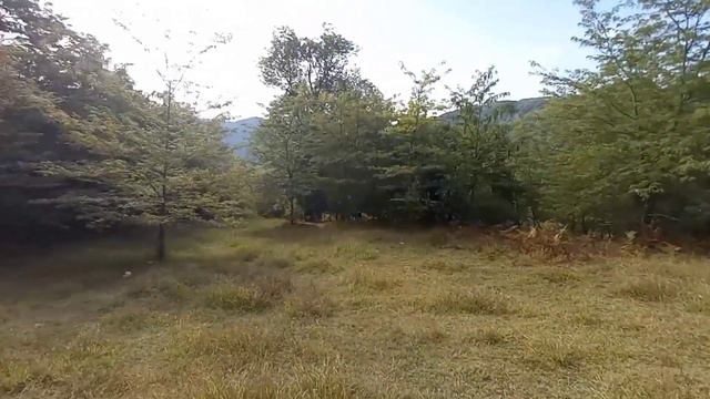 Галицино супер видовые участки