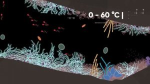 Жизнь НА или  ВНУТРИ  других планет..