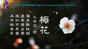 梅花〈華語〉李香蘭〈歌手演唱 HD版〉